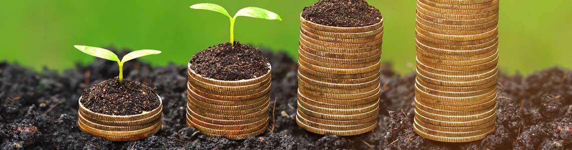 Goal 8: Decent work and economic growth
